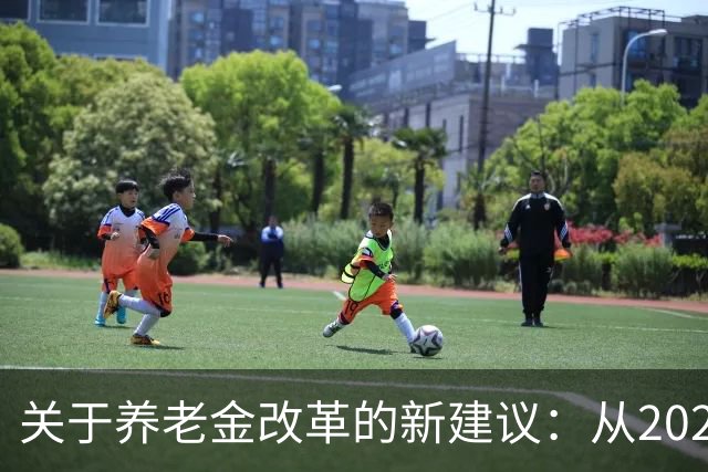 关于养老金改革的新建议：从2027年起按工龄逐年增加补贴