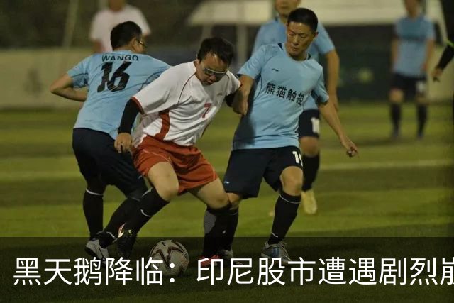 黑天鹅降临：印尼股市遭遇剧烈崩溃